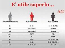 alimenti per gruppo sanguigno gruppi sanguigni salute e benessere alimenti per gruppo sanguigno gruppi sanguigni salute e benessere