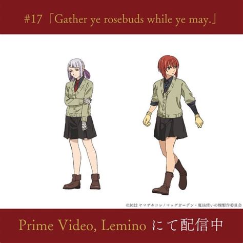 Image result for Anciant Magus Bride Characters