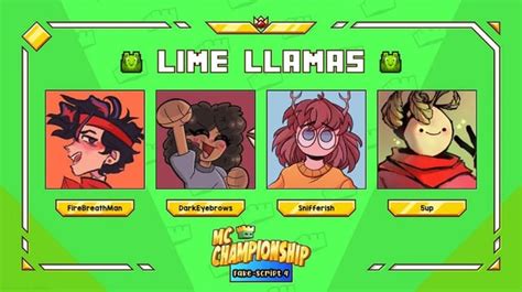 Image result for Fake MCC Practice Server