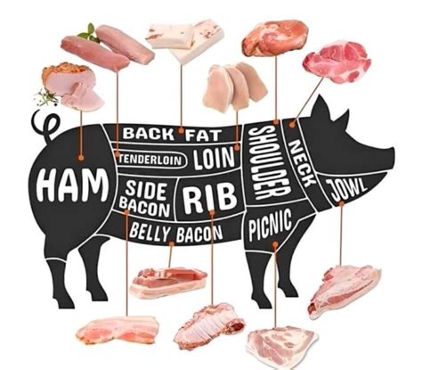 Pork Cutting Diagram - FriedOkra