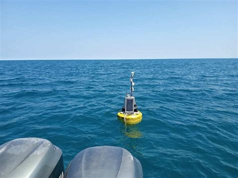 Small Fish Farm 的图像结果