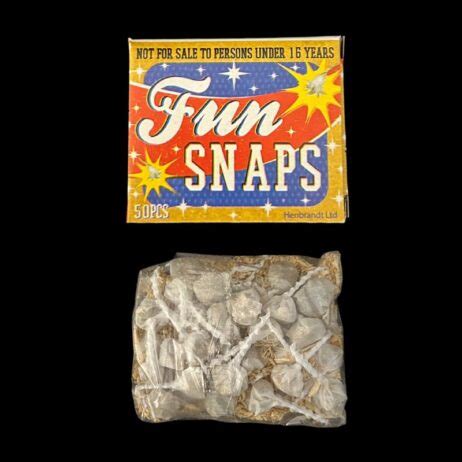 Who to Use Fun Snaps 的图像结果