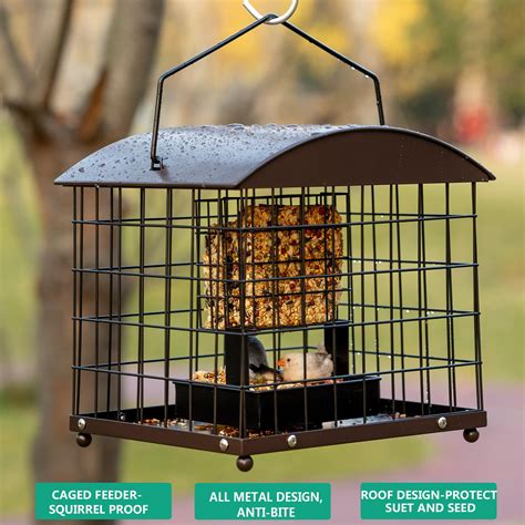 Caged Suet Feeders Squirrel-Proof, Dual-Purpose Suet &Seed Wild Bird ...