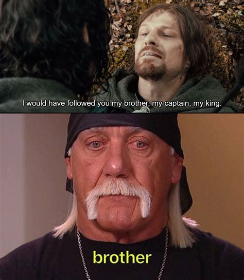 Hulk Hogan Brother Meme We Still Love You Brother : R/memes