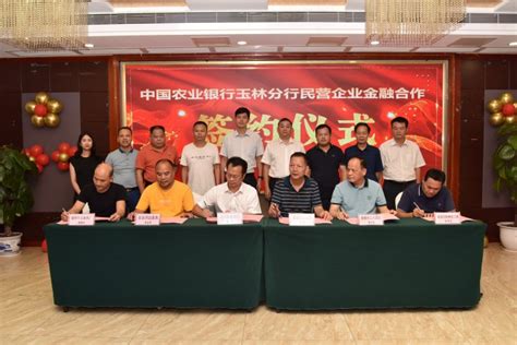 容县举办2021年民营企业金融服务对接会-玉林新闻网