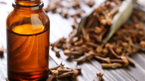 Clove Essential Oil: The Aroma of Diwali in India – Vann Essentials