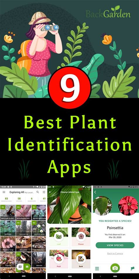 picture plant identifier app