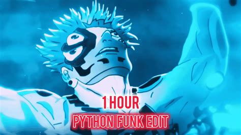 Python Funk Remix 的图像结果