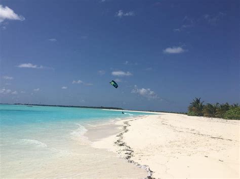 MALDIVES DIVING LOABI (2026) All You Need to Know BEFORE You Go (with ...