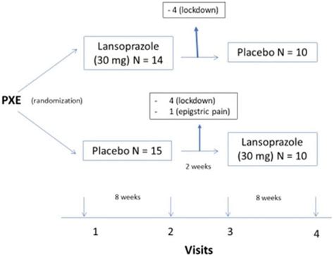 Lansoprazole Increases Inorganic Pyrophosphate in Patients with ...