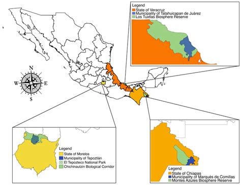 Vulnerabilities and Threats to Natural Forest Regrowth: Land Tenure ...