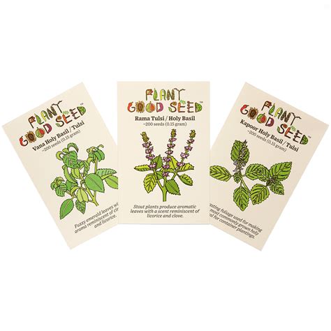 Holy Basil Seeds - The Plant Good Seed Company