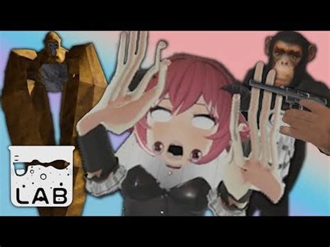 Image result for BoneLab Multiplayer Tips