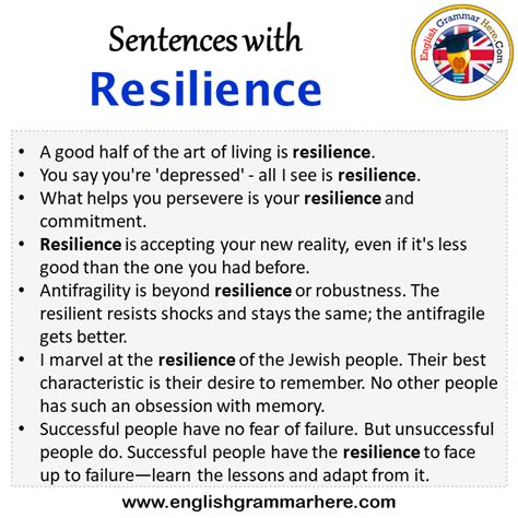 Sentences with Resilience, Resilience in a Sentence in English ...
