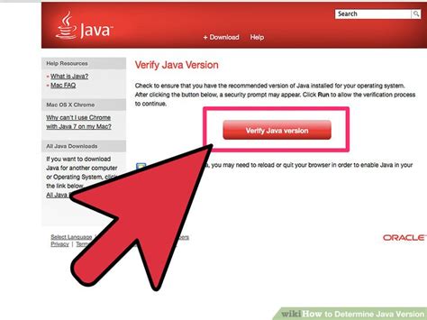 Verify Java Version 的图像结果