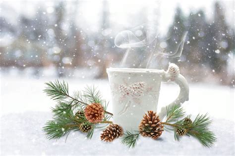 Free Images : snow, winter, white, morning, fresh, cozy, beverage ...
