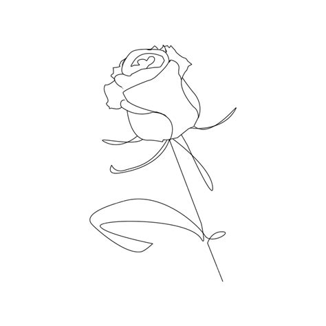 Rose Lineart Hd Transparent, Aesthetic Rose Flower Lineart, Rose Drawing, Flower Drawing, Rose ...