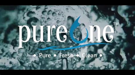 Water Purifier - 1000 Lph Stainless Steel Ro Plant Manufacturer from ...