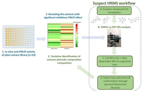 The In Vitro Inhibitory Effect of Selected Asteraceae Plants on ...