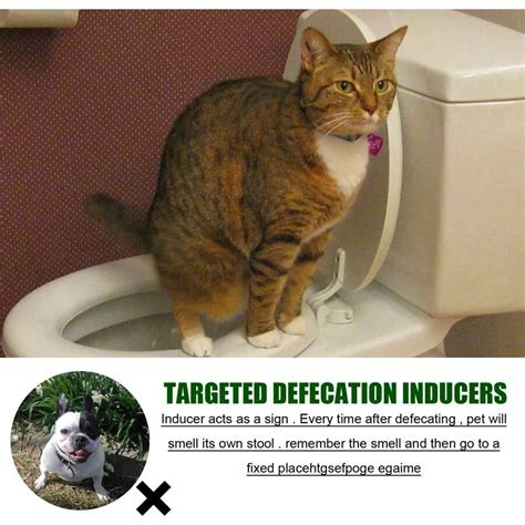 Pet Cats And Dogs Defecation Positioning Inducer Pee And Defecate Fixed ...