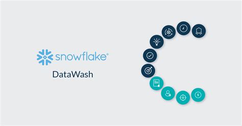 Snowflake Data Tool 的图像结果