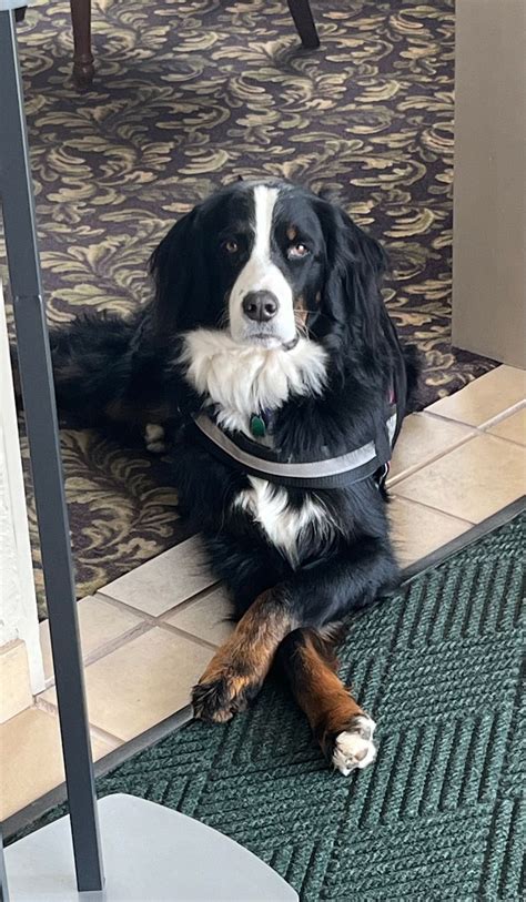 Zachrich Family Funeral Home