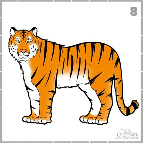 Image result for Tiger Drawing Easy