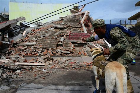 ¿Qué pasó en el terremoto de 2017 en México? • Once Noticias