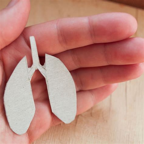 Therapie der Sarkoidose: zwischen Standards und innovativen Ansätzen ...