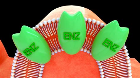 Brush Border Enzyme 3D - TurboSquid 2189639