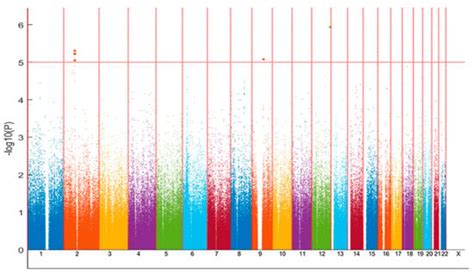 LRRTM4 and PCSK5 Genetic Polymorphisms as Markers for Cognitive ...
