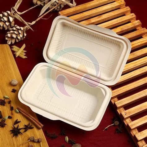 Bagasse Food Containers Exporter from Rajkot