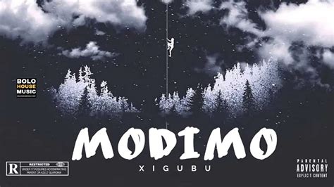 Image result for Modimo Video