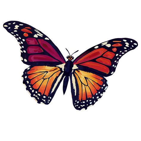 Image result for Spring Butterflies PNG