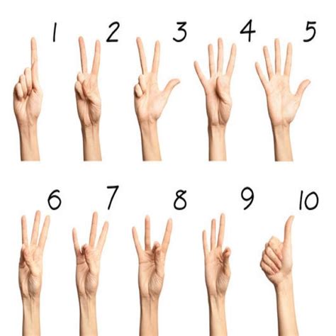 Image result for Explaining Sign Numbers