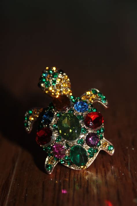 Image result for Turtle Ring