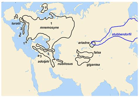 Taxonomic Structure and Wing Pattern Evolution in the Parnassius ...
