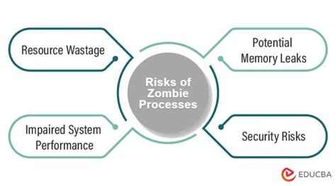 Zombie Process 的图像结果