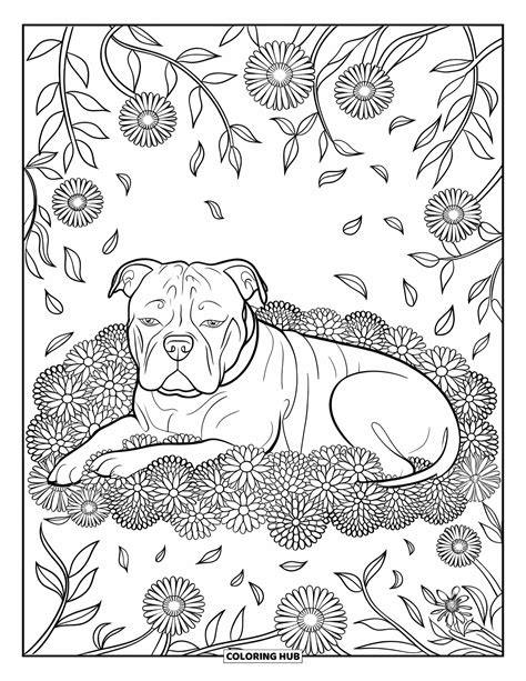 100+ Pitbull Coloring Pages for Kids & Adults (Free Printable PDFs)