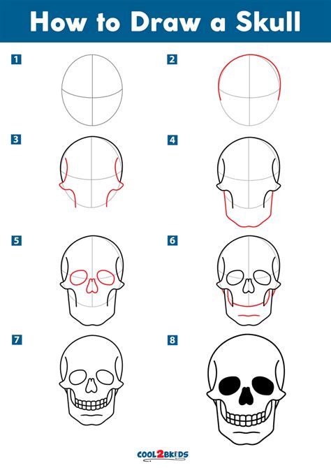 Image result for Skull Drawing Tutorial