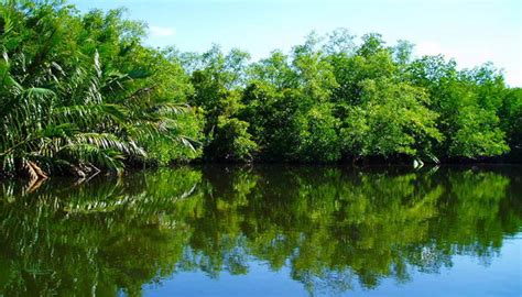 Safari por el río, Pahurumulla - Central de Reservas