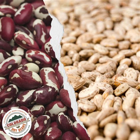 Why Are Colorado Beans So Delicious? - Colorado Dry Beans