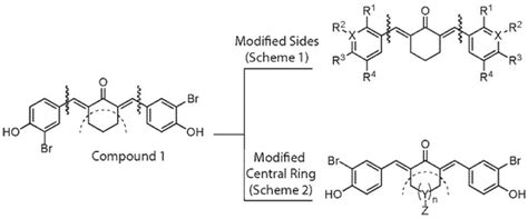 Inhibitor of CBP Histone Acetyltransferase Downregulates p53 Activation ...