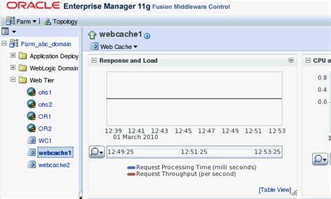 Image result for Oracle Web Cache