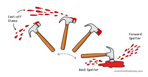 Types of Blood Spatter Stains — Scientist who draws