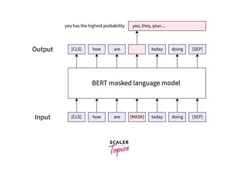 Bert Mask Task Pre Training Model 的图像结果