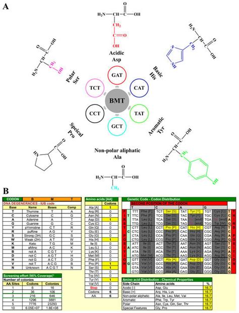 Targeted Directed Evolution of an α-L-Rhamnosidase on Hesperidin ...