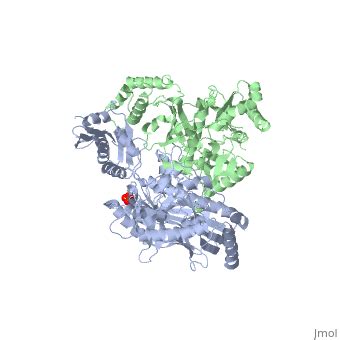 Image result for Transcriptase Enzyme