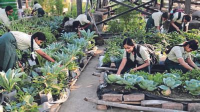 Kolkata schools adopt garden-to-plate mantra, fortify midday meals ...