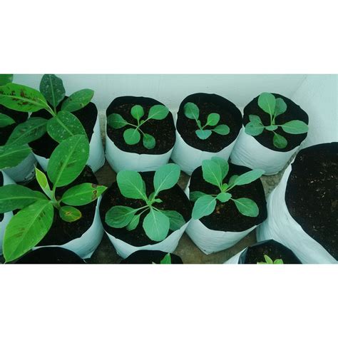 LDPE Grow bag for Terrace/Kitchen Garden – Sunantha Organic Farms